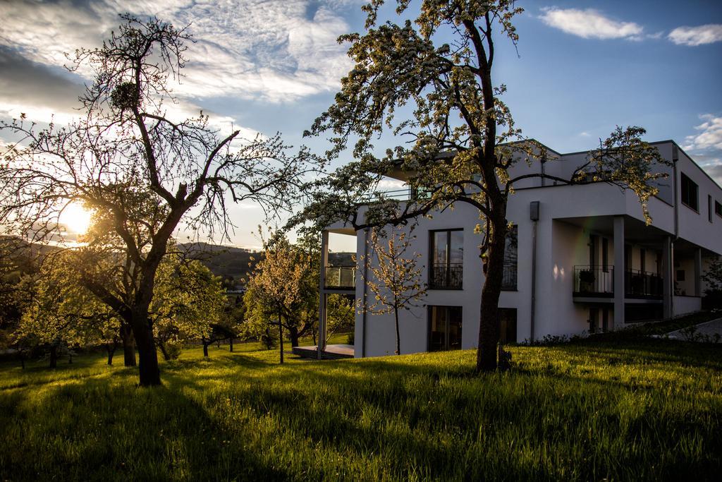 Hewen Apartments Engen Εξωτερικό φωτογραφία