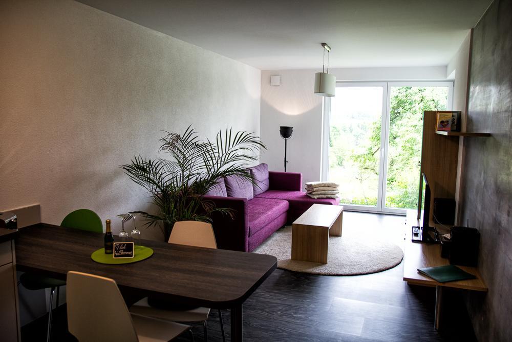 Hewen Apartments Engen Εξωτερικό φωτογραφία